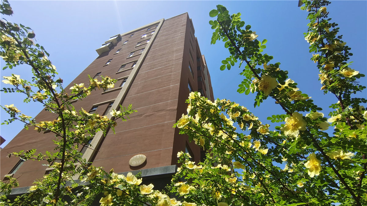 国产69精品久久久久人妻