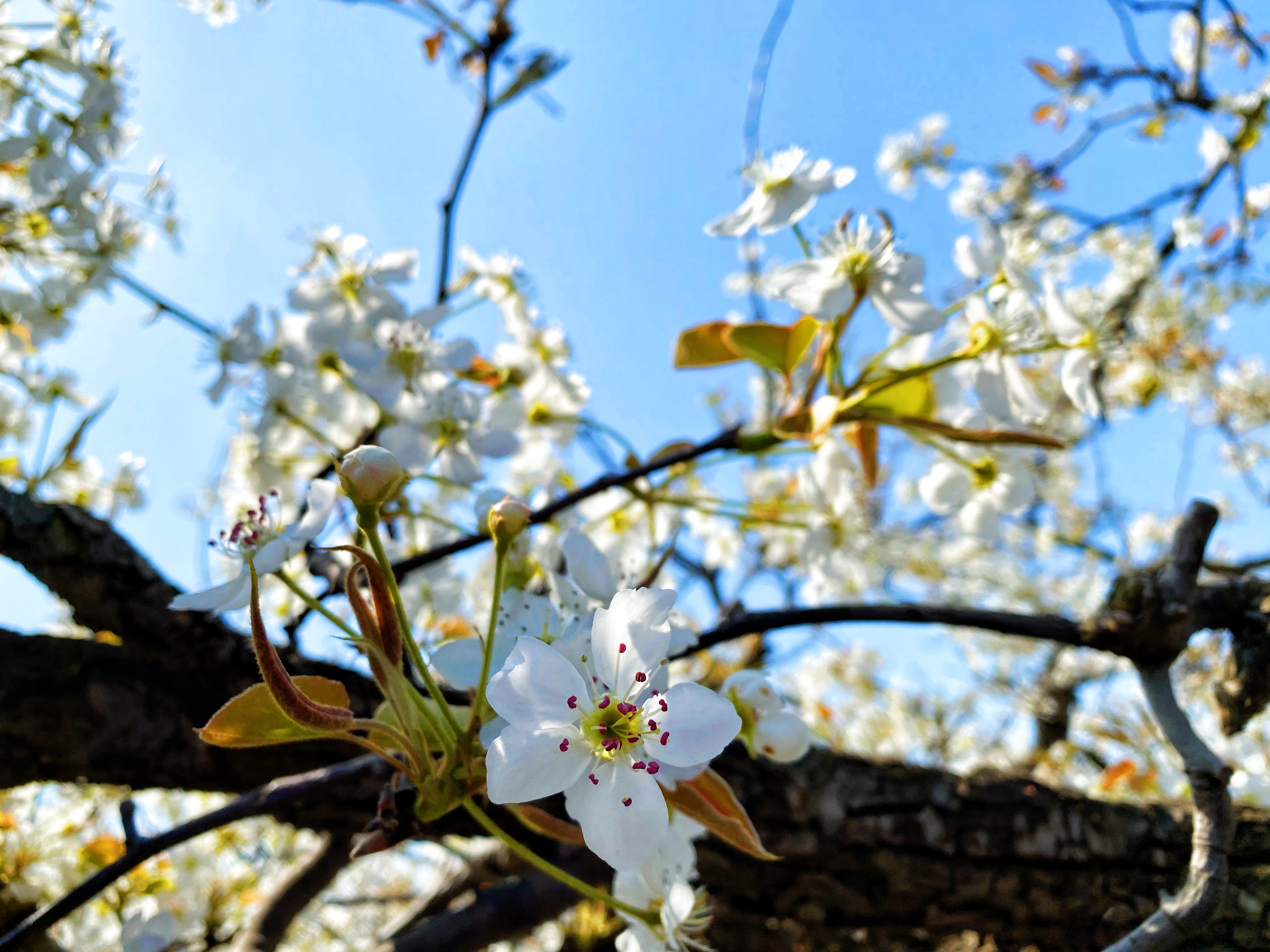 国产69精品久久久久人妻