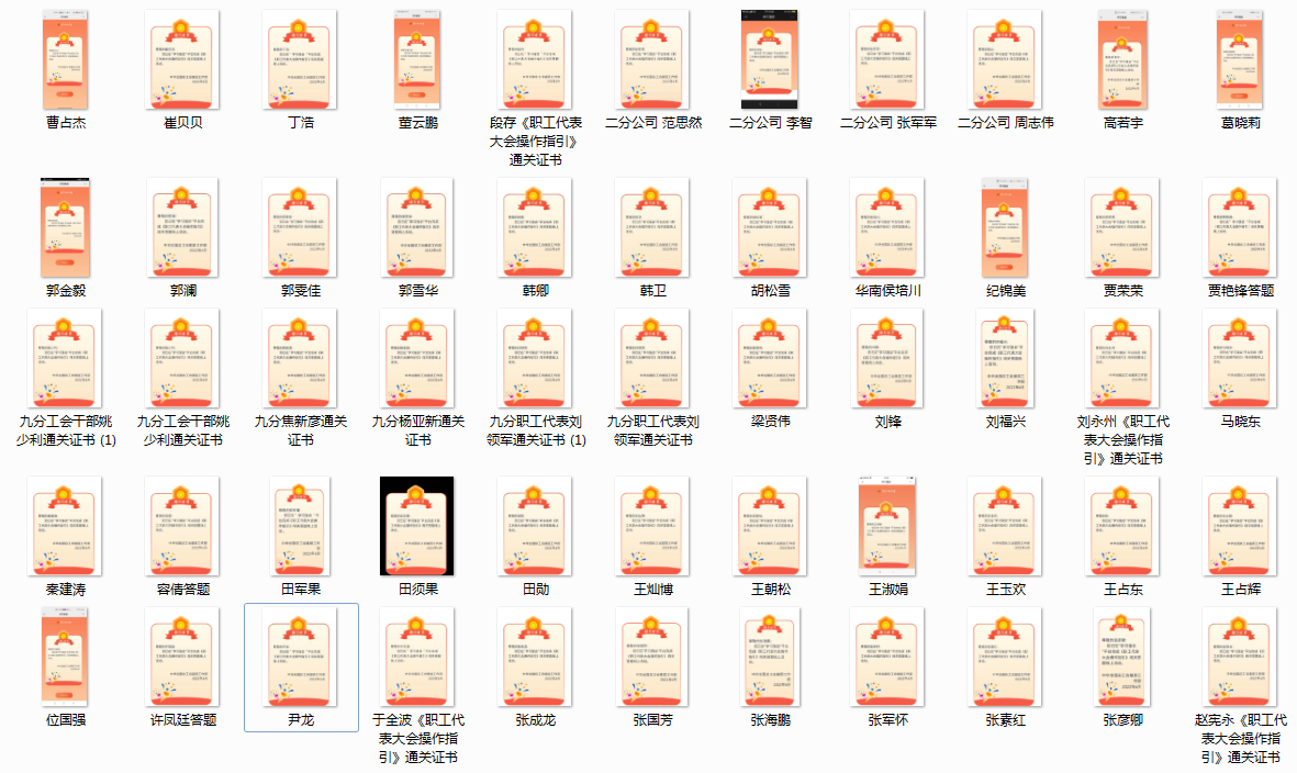 国产69精品久久久久人妻