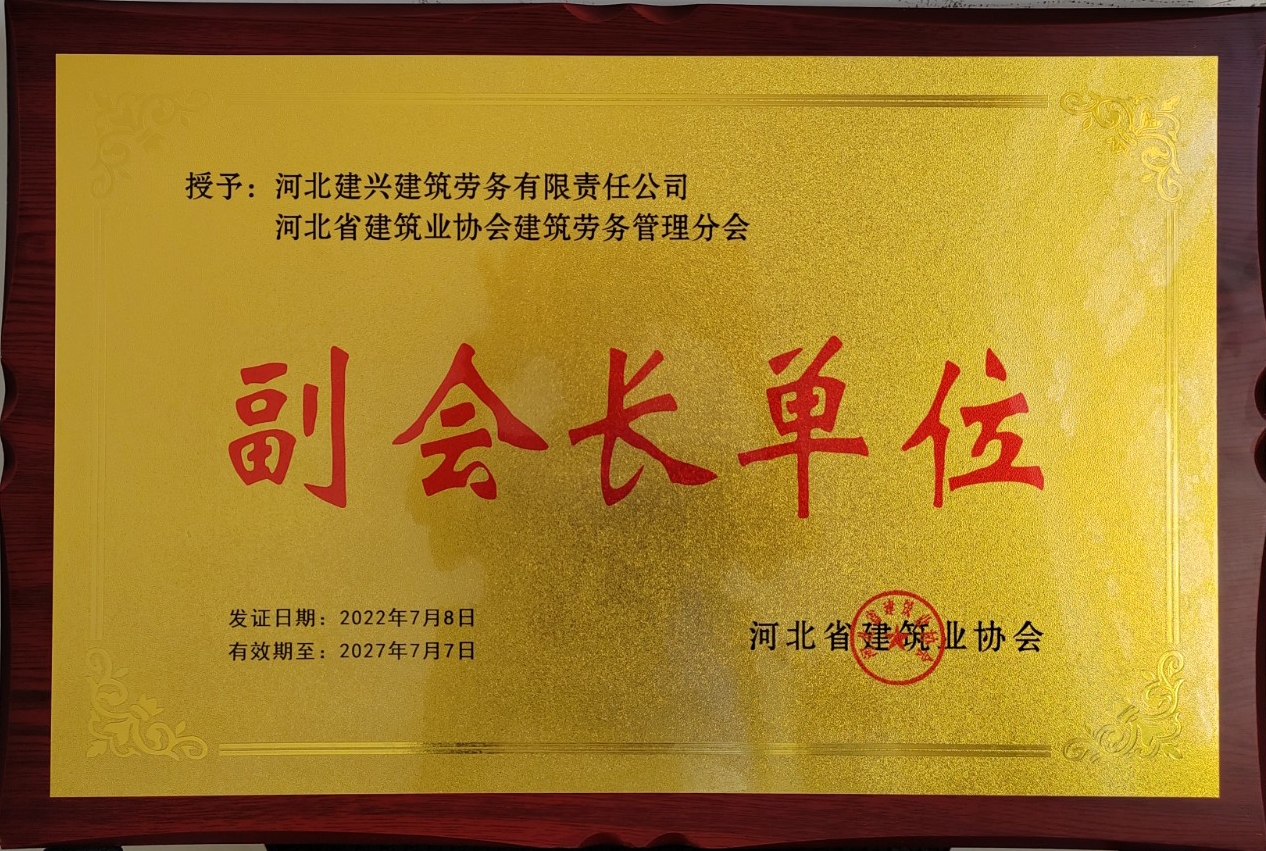 国产69精品久久久久人妻