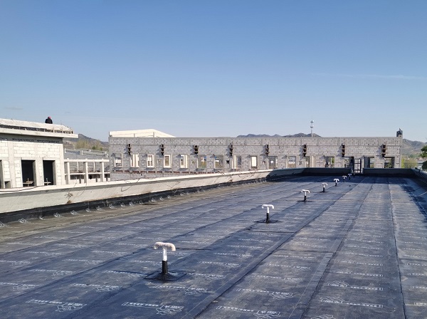 国产69精品久久久久人妻