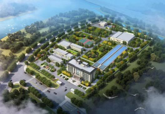 国产69精品久久久久人妻