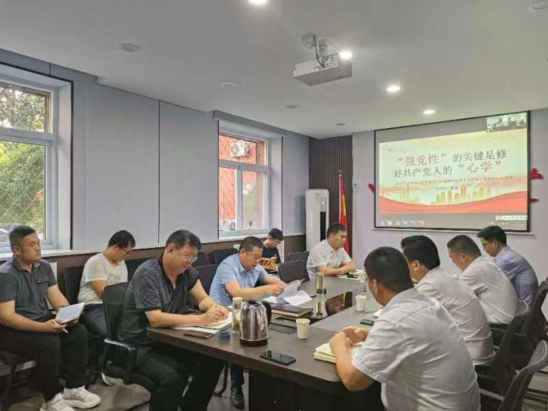 国产69精品久久久久人妻