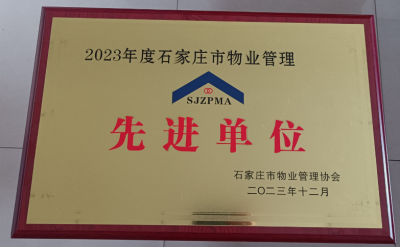 国产69精品久久久久人妻