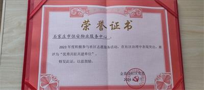 国产69精品久久久久人妻