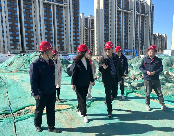 国产69精品久久久久人妻