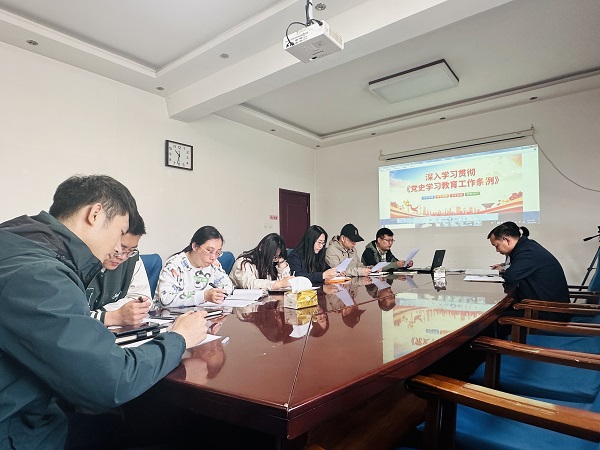 国产69精品久久久久人妻