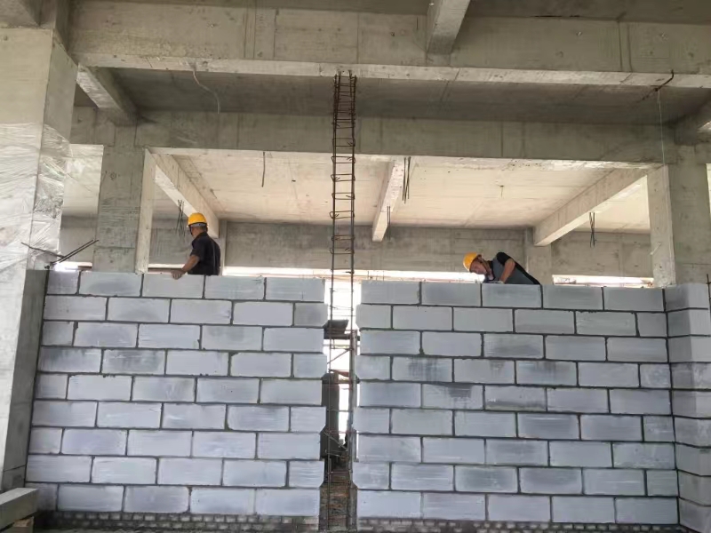 国产69精品久久久久人妻