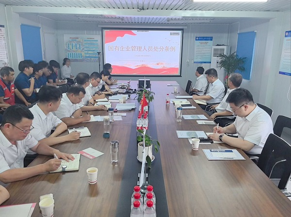 国产69精品久久久久人妻