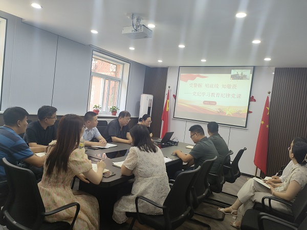 国产69精品久久久久人妻