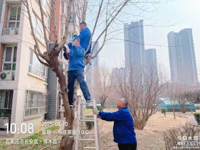 国产69精品久久久久人妻