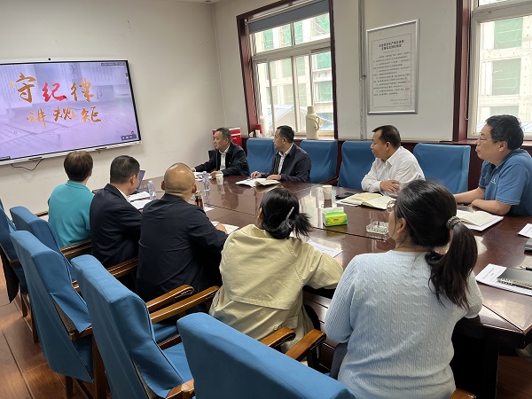 国产69精品久久久久人妻