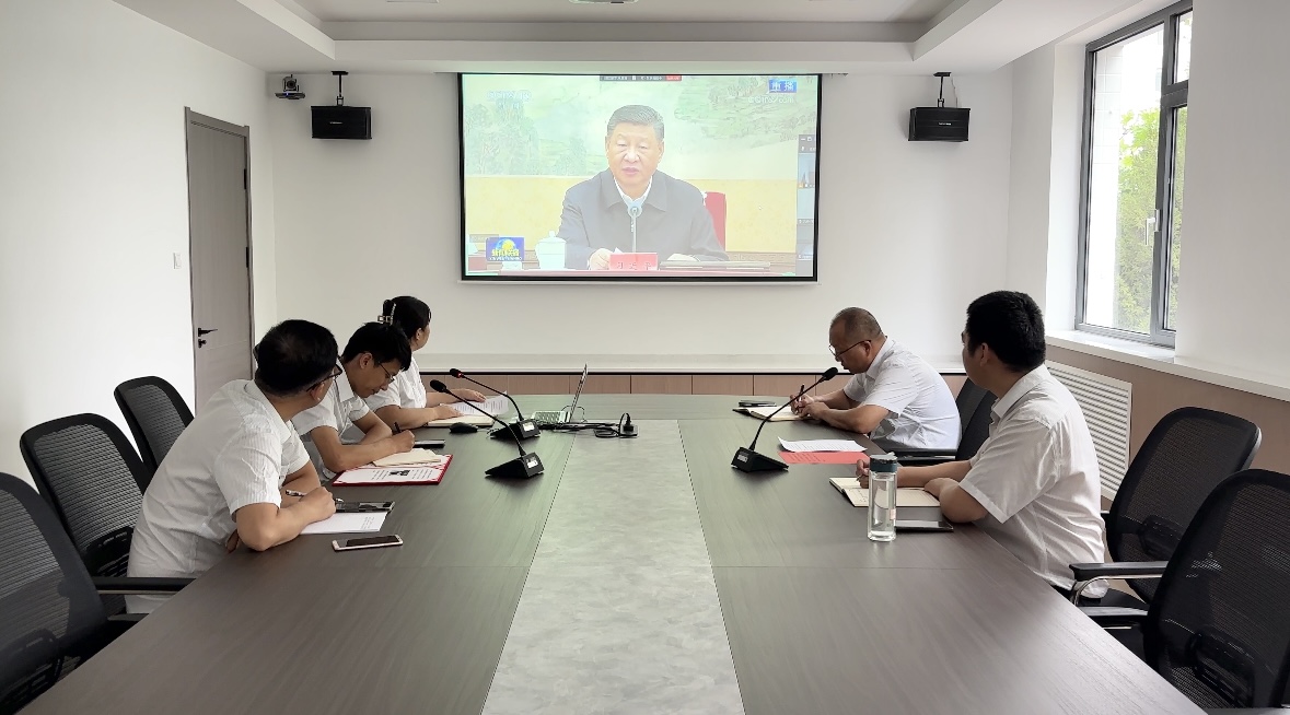 国产69精品久久久久人妻