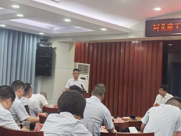 国产69精品久久久久人妻