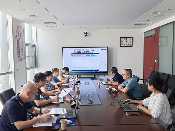 国产69精品久久久久人妻