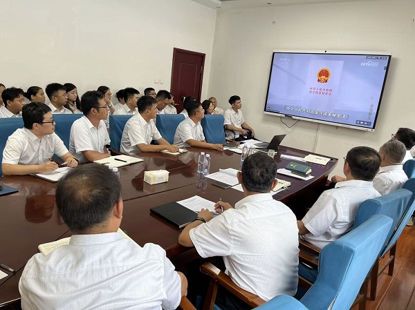 国产69精品久久久久人妻