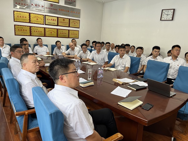 国产69精品久久久久人妻