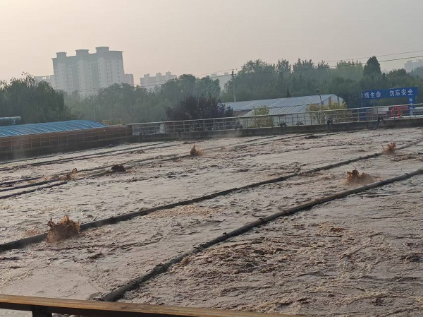 国产69精品久久久久人妻